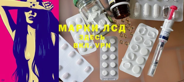 стаф Новозыбков