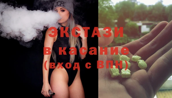 стаф Новозыбков