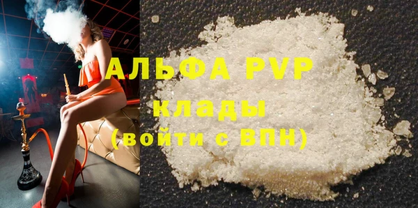 стаф Новозыбков